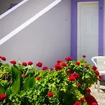 Dk House Apartment Lassi (Kefalonia)