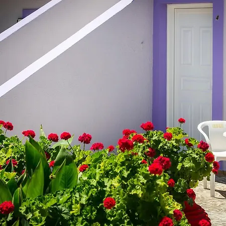 Dk House Διαμέρισμα Λάσση
